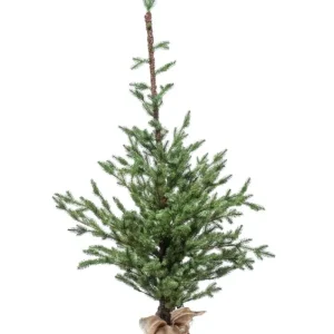 ARPIMEX Alberi E Accessori>Albero Di Natale 150 Cm 194 Tips Con Base In Juta |