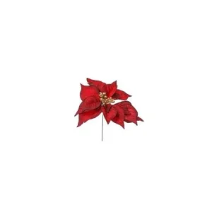 ARPIMEX Fiori>Pick Ramo Poinsettia Rosso