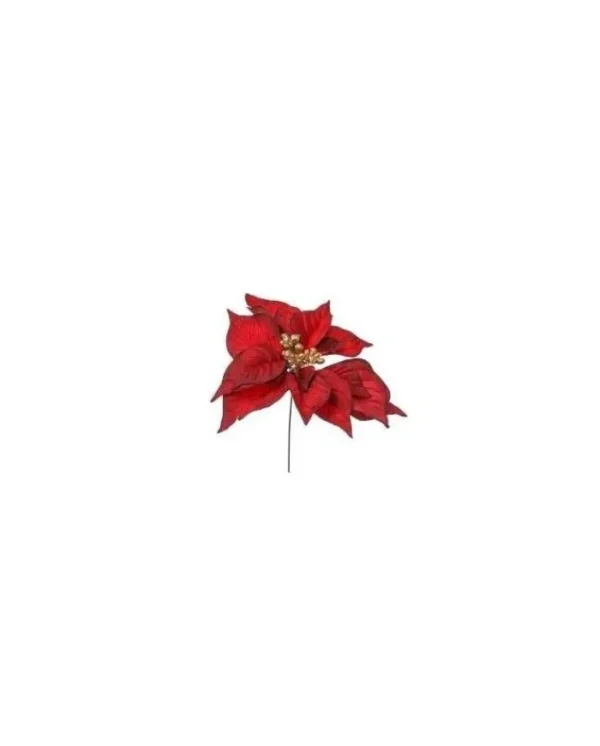 ARPIMEX Fiori>Pick Ramo Poinsettia Rosso